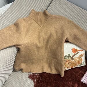 Everlane Tan Women's Turtleneck Sweater